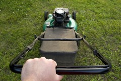 using a power lawn mower to maintain the appearance of a lawn